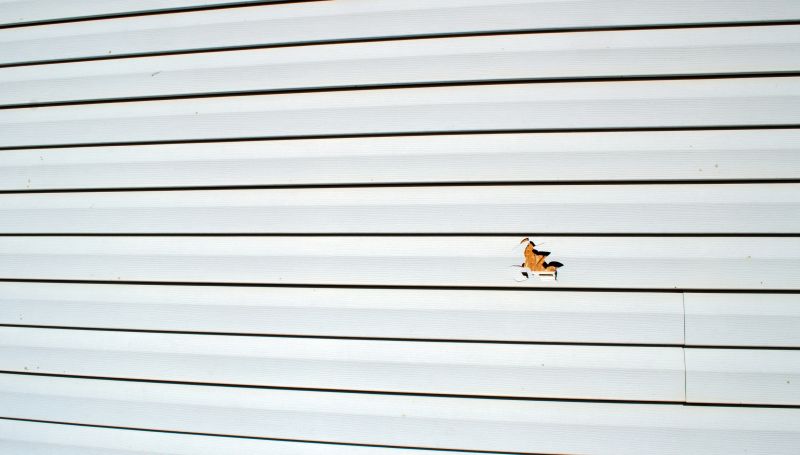 Panel Removal and Replacement